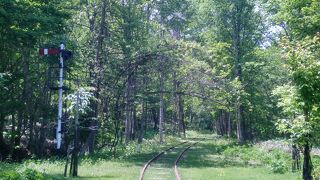 腕式信号が残ってました