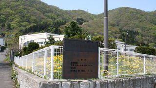 体の芯からあたたまります。