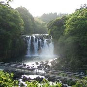 関之尾滝は日本の滝１００選に選ばれている幅４０ｍ、高さ１８ｍにも及ぶ大滝