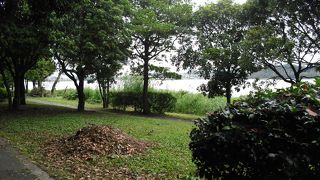 桜の名所としても有名