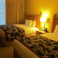 ベッド　大きい