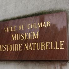 自然史博物館
