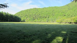 美味しい牛乳が有名