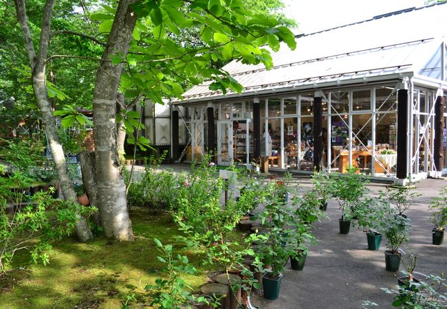 軽井沢タリアセン クチコミ・アクセス・営業時間｜軽井沢