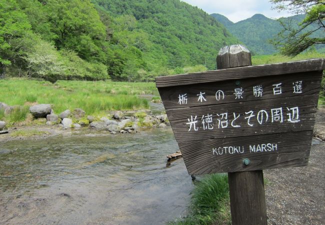 光徳沼 クチコミ アクセス 営業時間 日光 フォートラベル