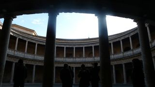 ヒョコッと現れます