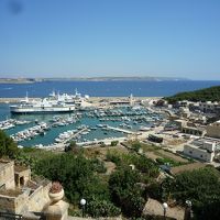 こんな景色が見れます