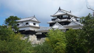 日本三大平山城にも数えられています