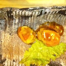 本日のメイン料理（鶏肉のロール巻き）