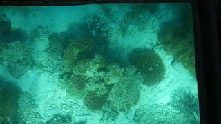 乗船時間の事前確認