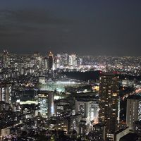 夜景もきれいでした