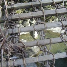 足元　・・・((((；ﾟДﾟ))))