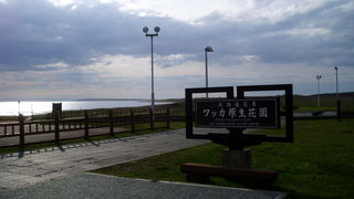 気持ちのいい草原