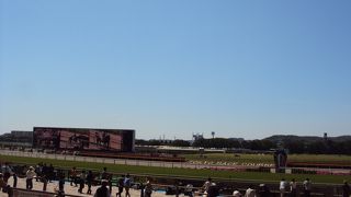 馬好きには最高！！子供連れでも◎