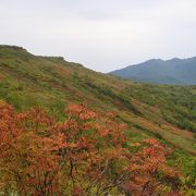 日本一早い秋の紅葉