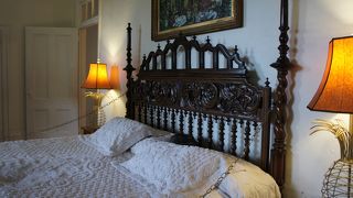 ６本指の猫ちゃん、どーこーだー？