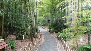 気持ちいいー、皆さまにおすすめ