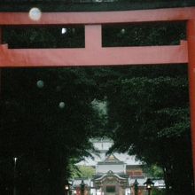 霧島神宮の鳥居