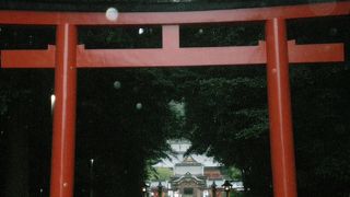 霧につつまれた神宮