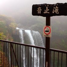 迫力のある滝です