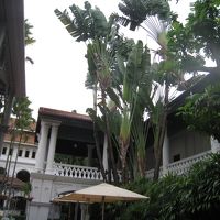 中庭に面したテラスが素敵