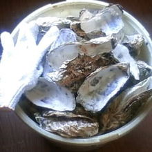 ばけついっぱいたべました