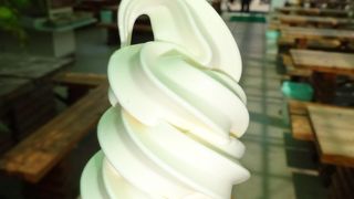 新鮮な乳製品が豊富にあります