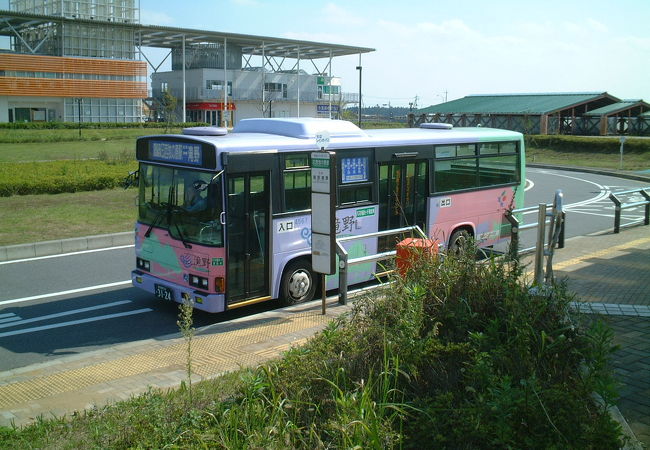 巨大なジョイフル本田