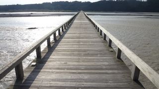 風で壊れてました