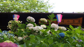 季節に合わせて花が楽しめる設備の整た公園です。