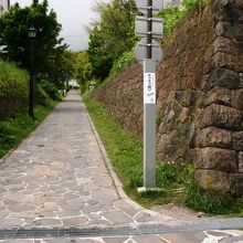 チャチャのぼり