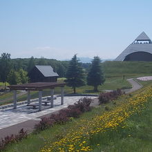 展望台の形が印象的です
