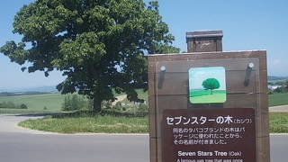 付近の景観もお見逃しなく