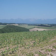 十勝岳の横長の雄大な風景がお勧めです