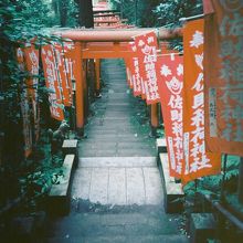 赤い鳥居が連なっています