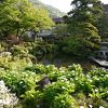 吉池旅館 クチコミ一覧 6ページ フォートラベル 箱根湯本温泉
