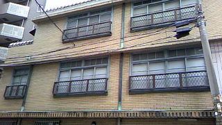 淡い褐色のタイルに緑の瓦が美しい