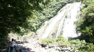 屋久島の滝ならここ！