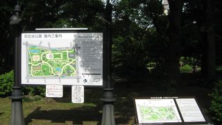 仕事の合間に一息ついてます