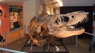 理学部として使っていた建物がそのまま博物館になりました