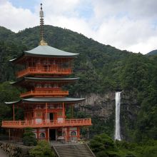 ここがショットポイント