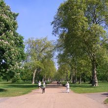 パーク内は広いので見通しがいい