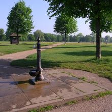 犬の散歩コースになっているようで水飲み場も犬の位置にあります