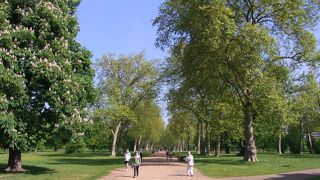 市内の中心部に広大な自然を大事にしたハイドパークは朝の散歩に最高です