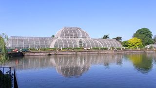 園内は広く温室がいくつかあり相当歩く覚悟がいります
