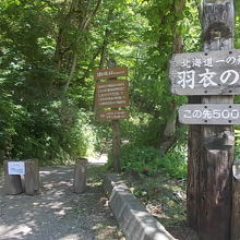 遊歩道入口の様子