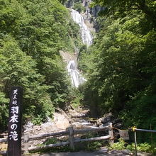 横向きで撮影すると、全貌を捉え辛いかもしれません