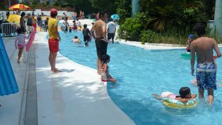 夏のプールは今も健在！