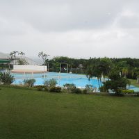 庭にあるプール