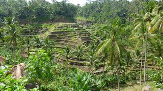 美しい景色でした。